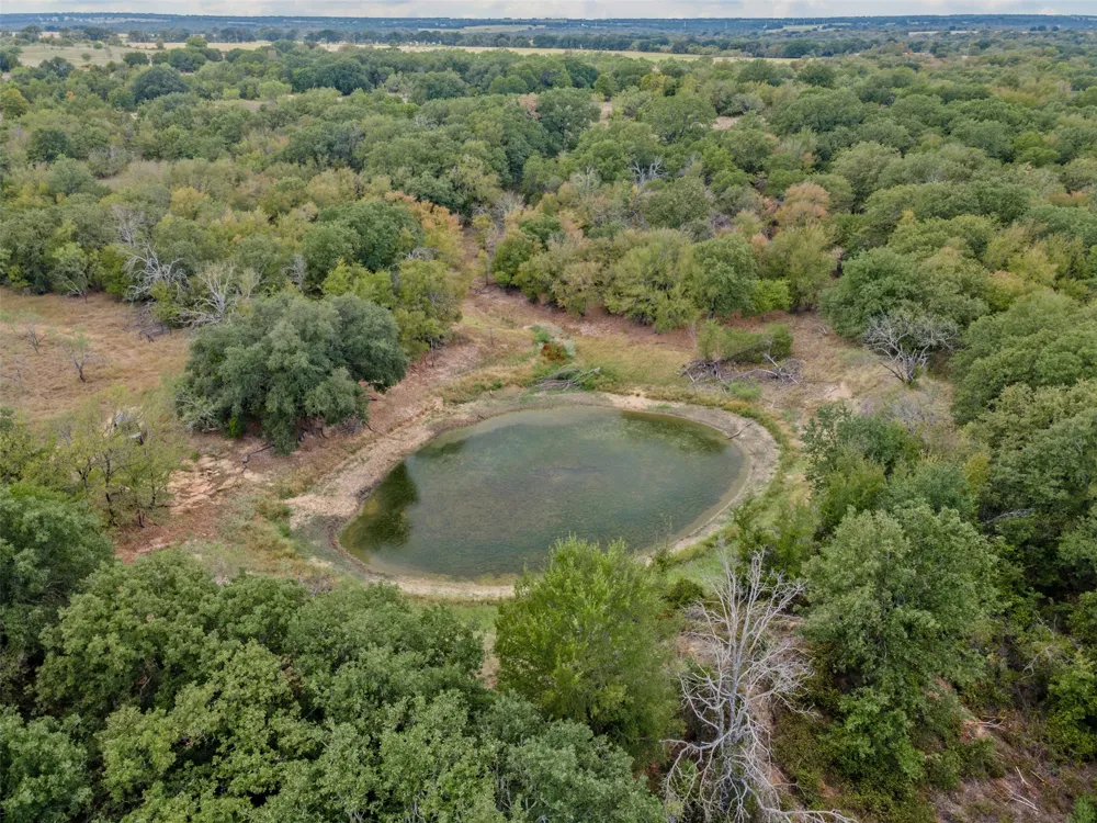 451 County Road 4975 Desdemona, TX 76445