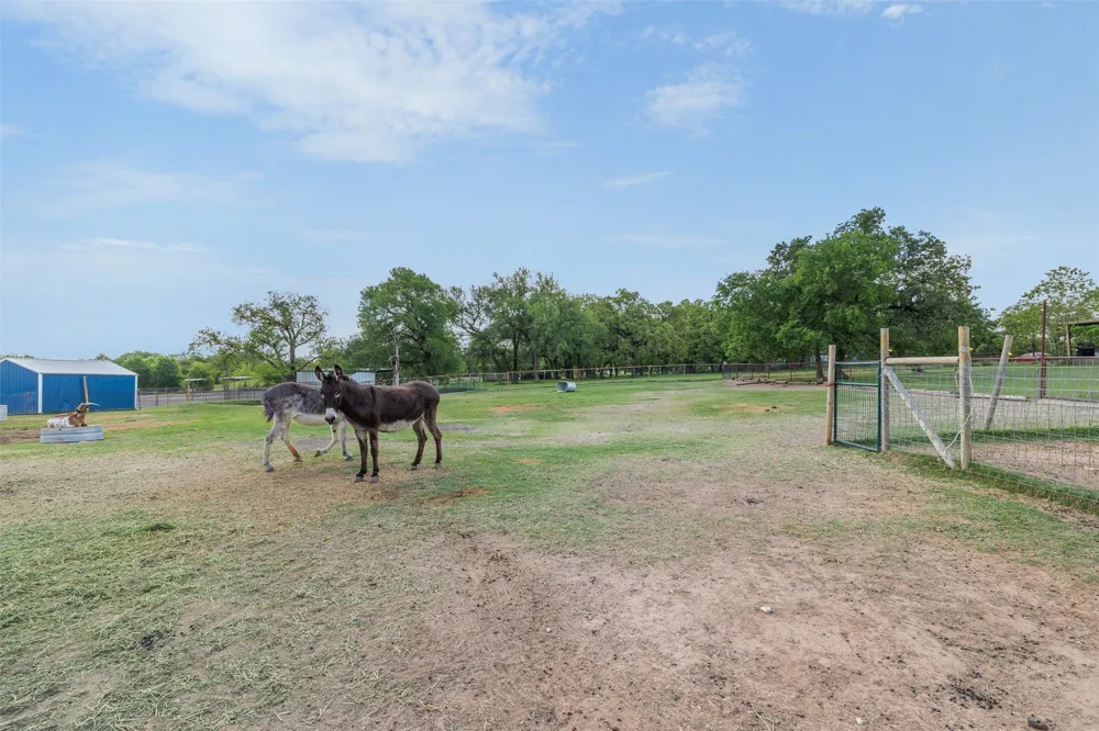 203 Saffle Road Robinson, TX 76706
