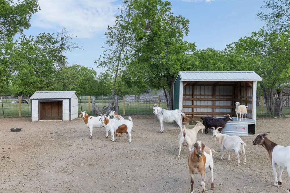 203 Saffle Road Robinson, TX 76706