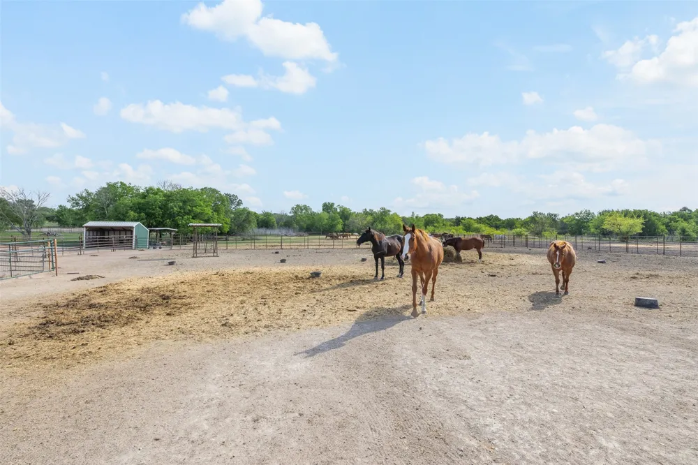 203 Saffle Road Robinson, TX 76706