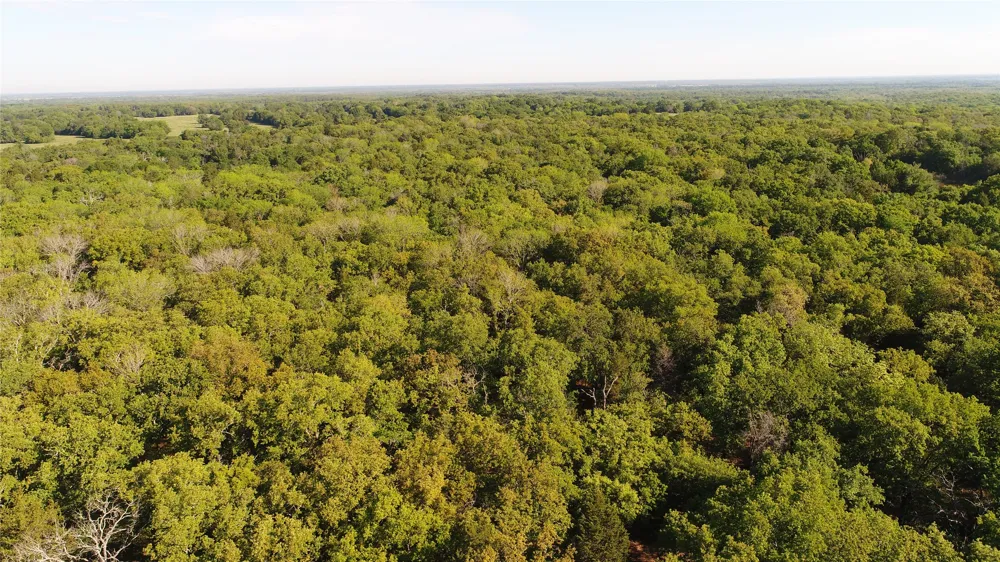 3016 Kerens, TX 75144