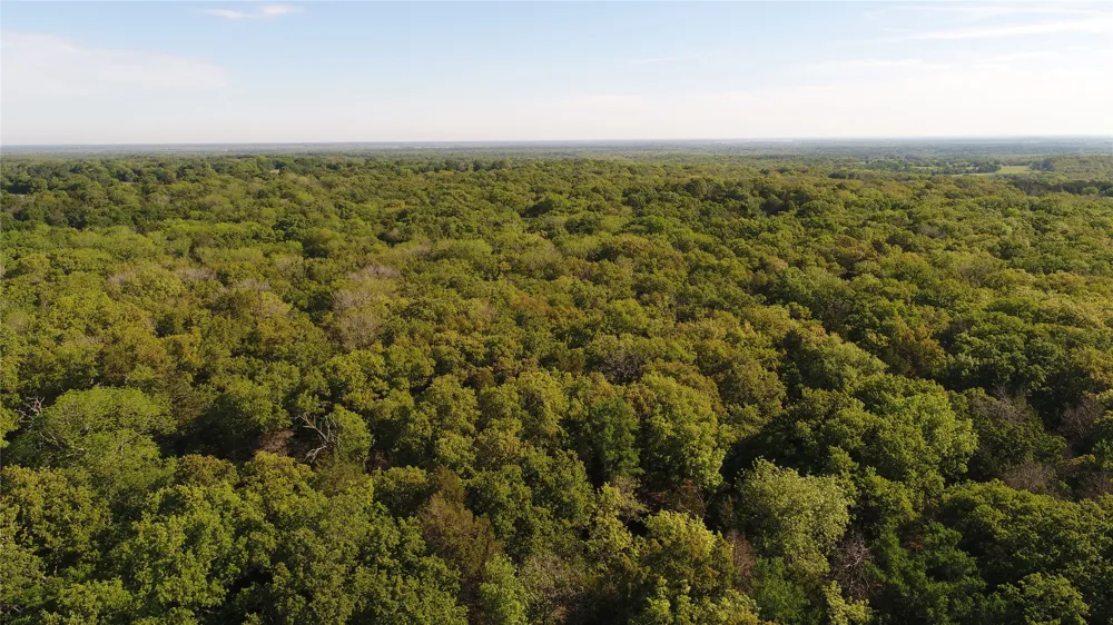 3016 Kerens, TX 75144