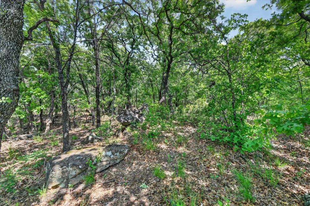 106 Ash Court Runaway Bay, TX 76426