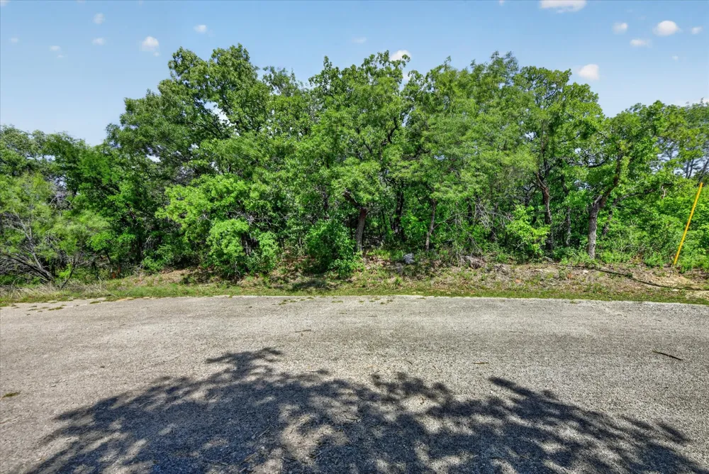 106 Ash Court Runaway Bay, TX 76426