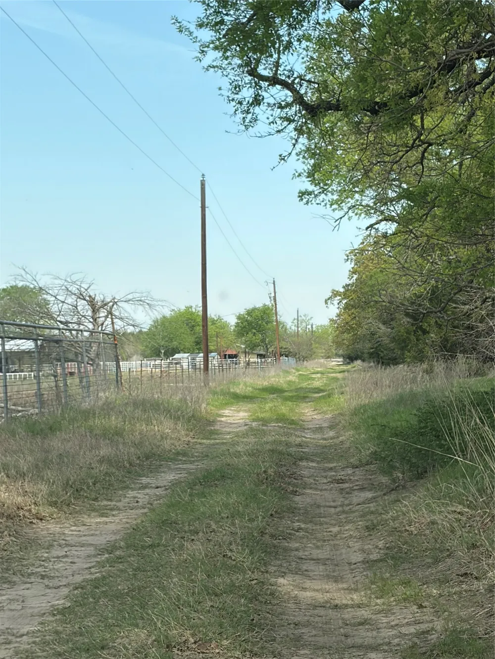 FM RD 429 Terrell, TX 75161