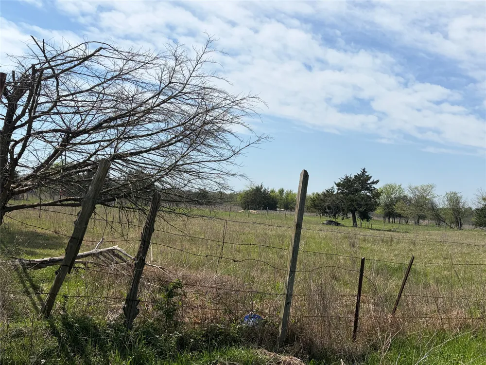 FM RD 429 Terrell, TX 75161