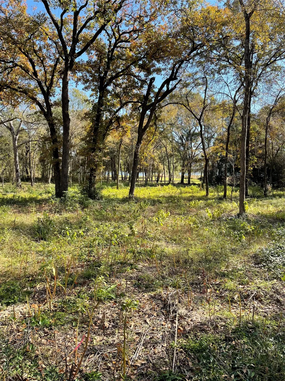 7840 Ranchette Road Eustace, TX 75124
