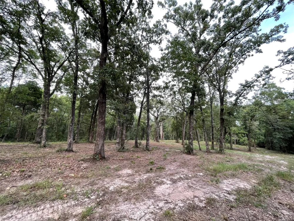 7840 Ranchette Road Eustace, TX 75124