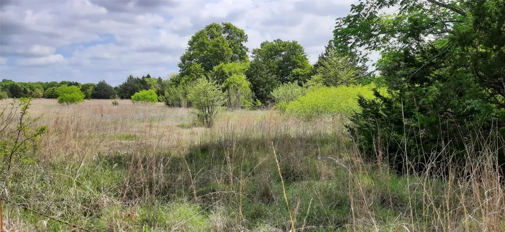 County Road 2644 Decatur, TX 76234
