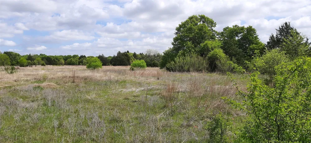 County Road 2644 Decatur, TX 76234