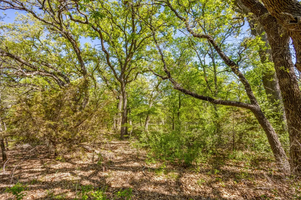 Teague Road Jacksboro, TX 76458