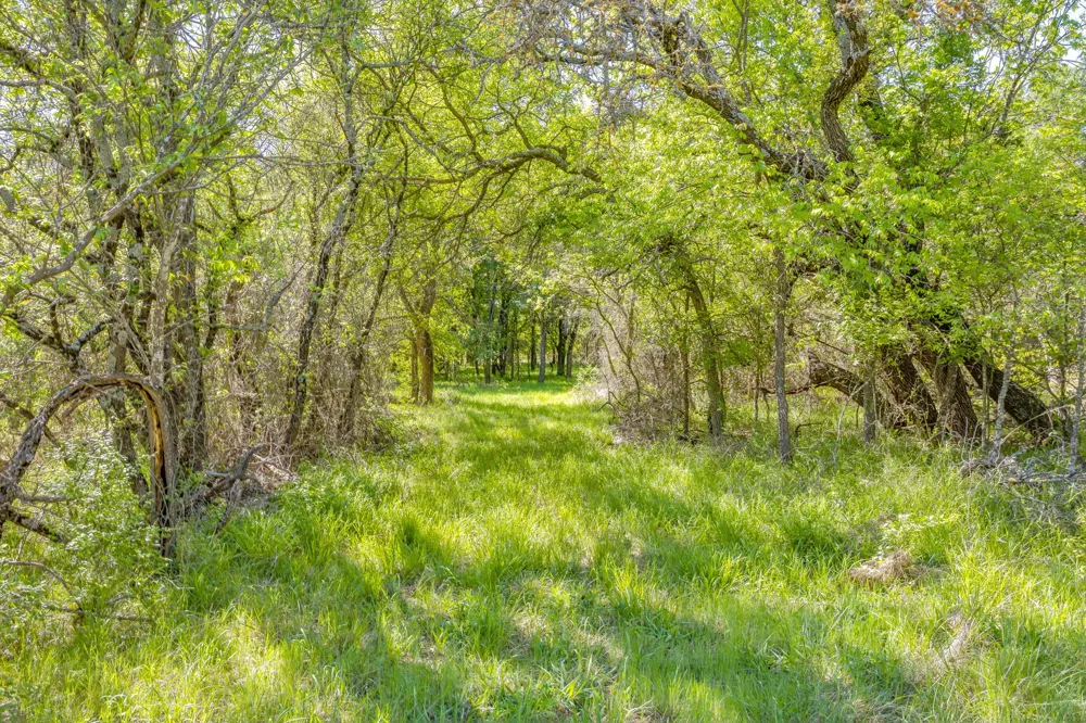 Teague Road Jacksboro, TX 76458