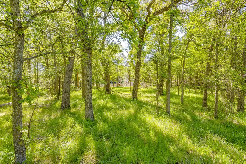 Teague Road Jacksboro, TX 76458