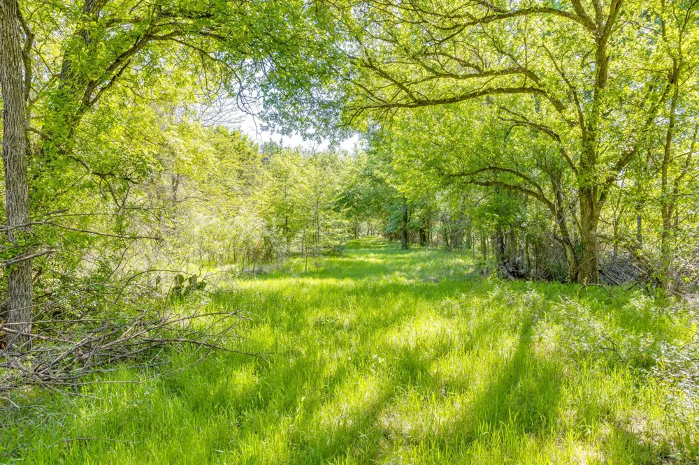 Teague Road Jacksboro, TX 76458