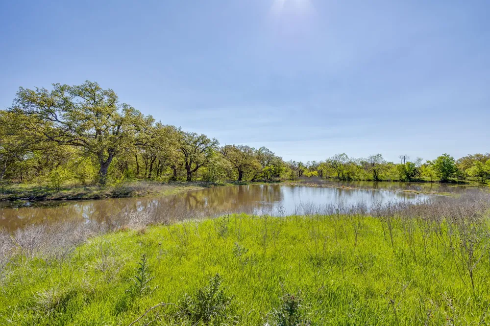 Teague Road Jacksboro, TX 76458