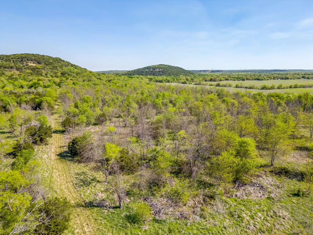 Teague Road Jacksboro, TX 76458