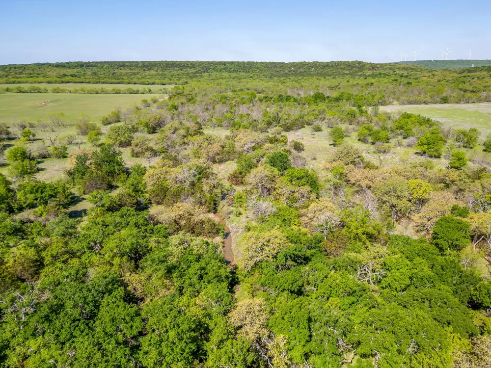 Teague Road Jacksboro, TX 76458