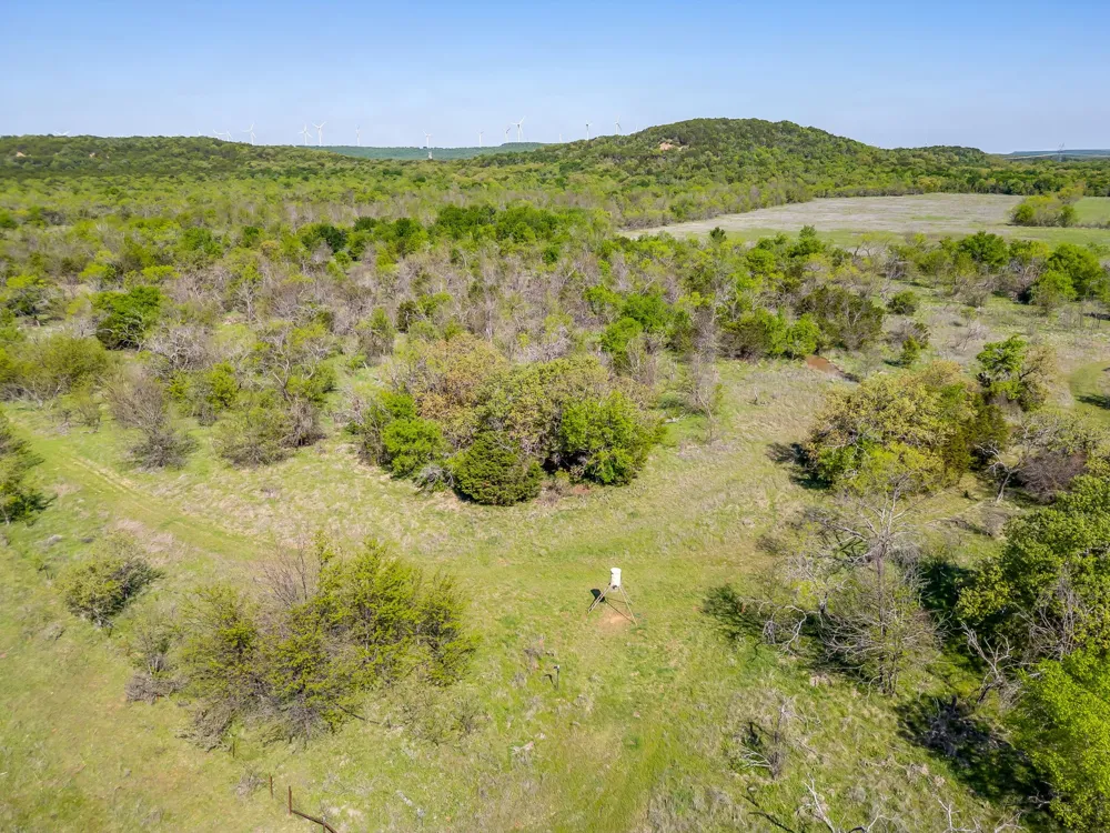 Teague Road Jacksboro, TX 76458