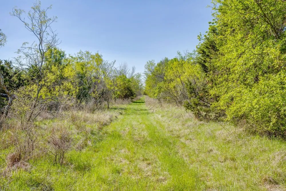 Teague Road Jacksboro, TX 76458