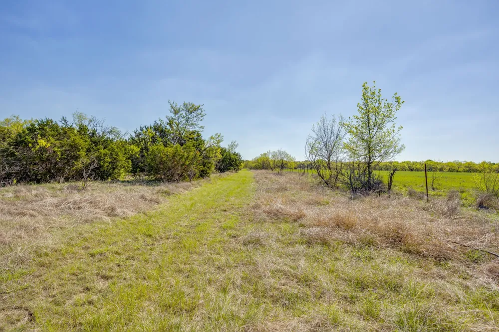 Teague Road Jacksboro, TX 76458