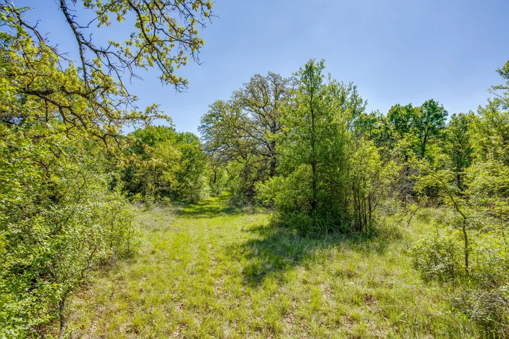 Teague Road Jacksboro, TX 76458