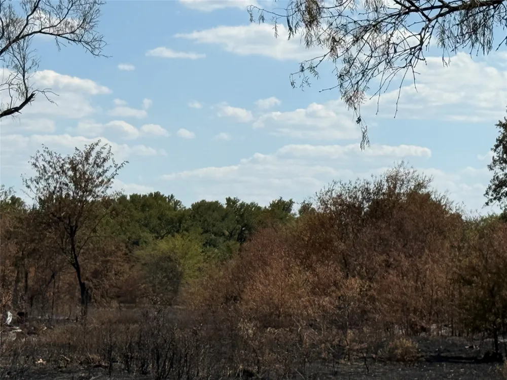 Teague Road Jacksboro, TX 76458
