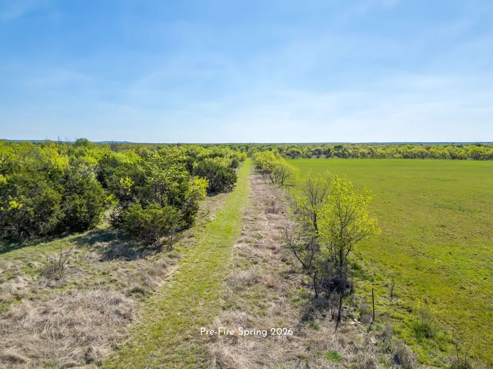 Teague Road Jacksboro, TX 76458