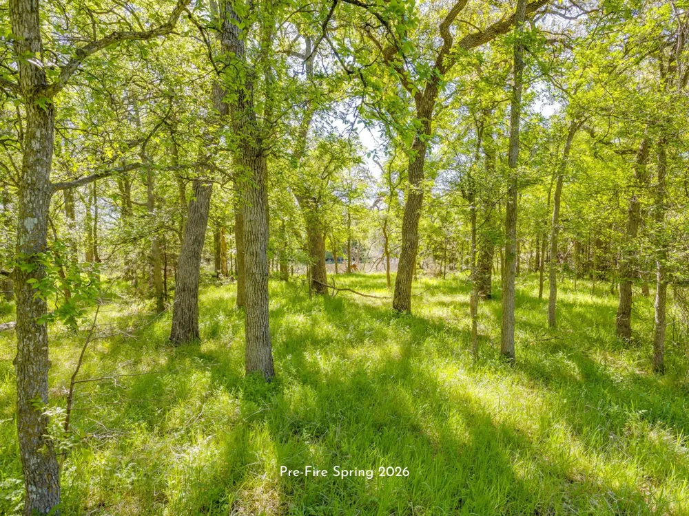 Teague Road Jacksboro, TX 76458
