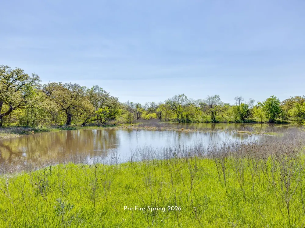 Teague Road Jacksboro, TX 76458