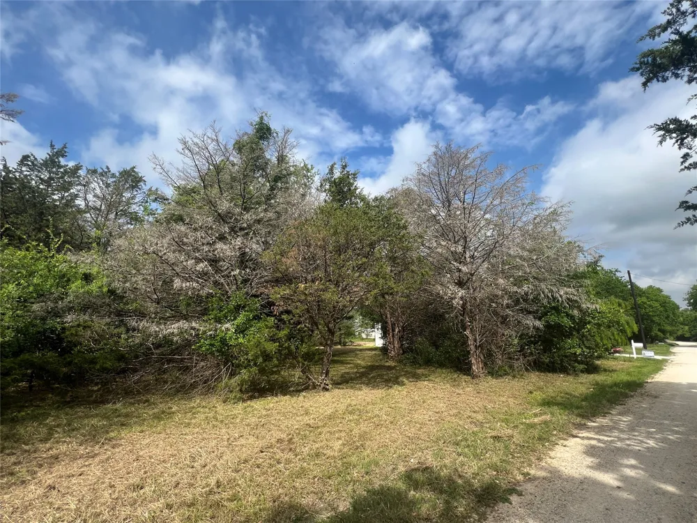 NW County Road 3112 Purdon, TX 76679