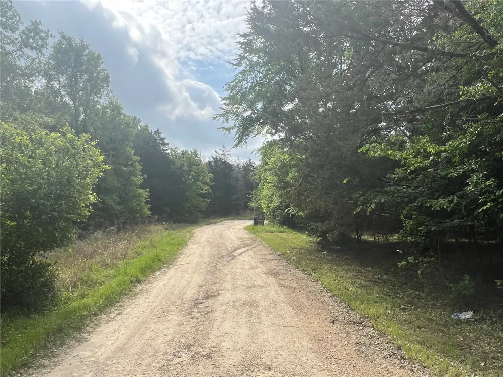NW County Road 3112 Purdon, TX 76679
