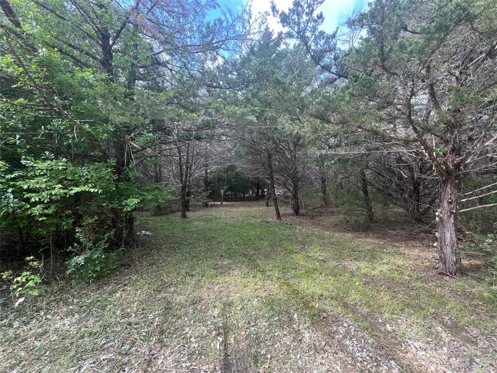 NW County Road 3112 Purdon, TX 76679