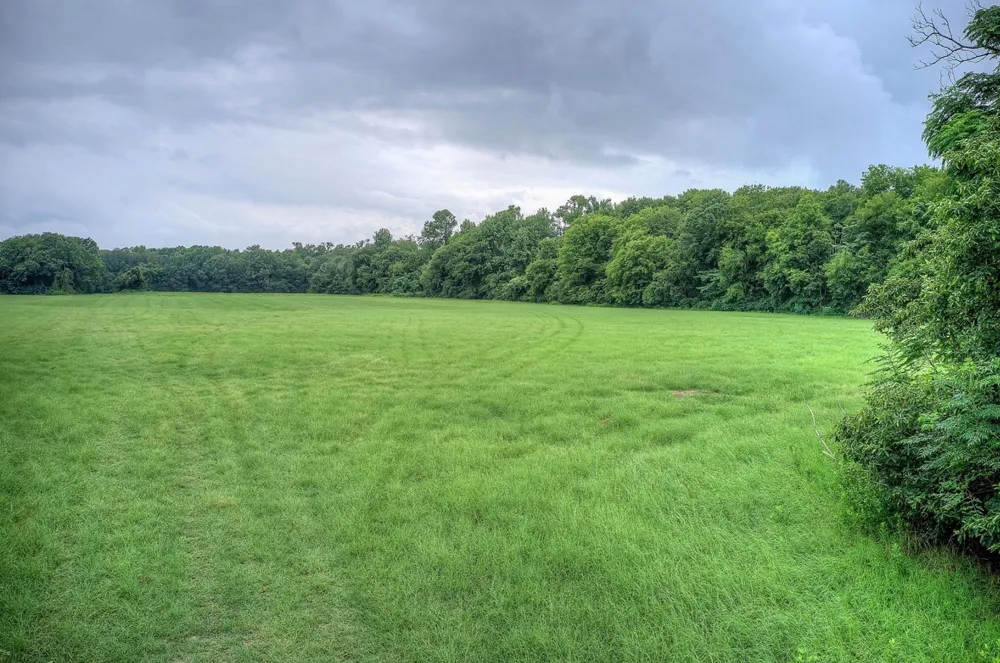 252 County Road 2431 Como, TX 75431