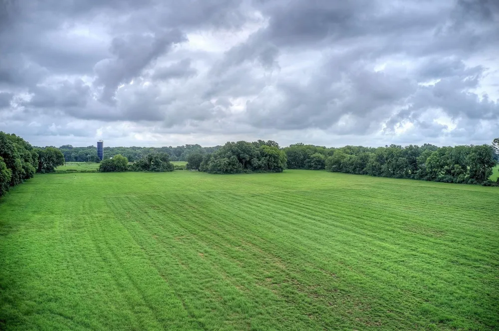 252 County Road 2431 Como, TX 75431