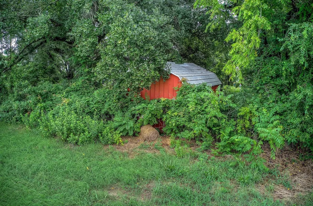 252 County Road 2431 Como, TX 75431