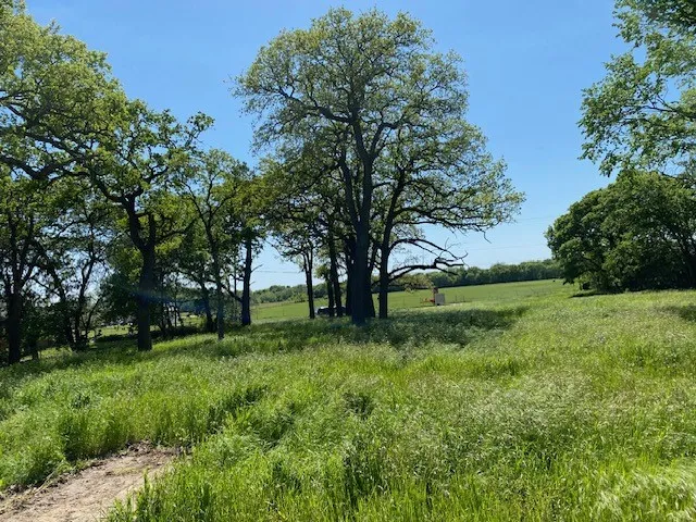 W HWY 82 St Jo, TX 76265
