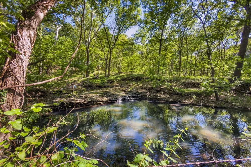 120 County Road 3646 Clifton, TX 76634