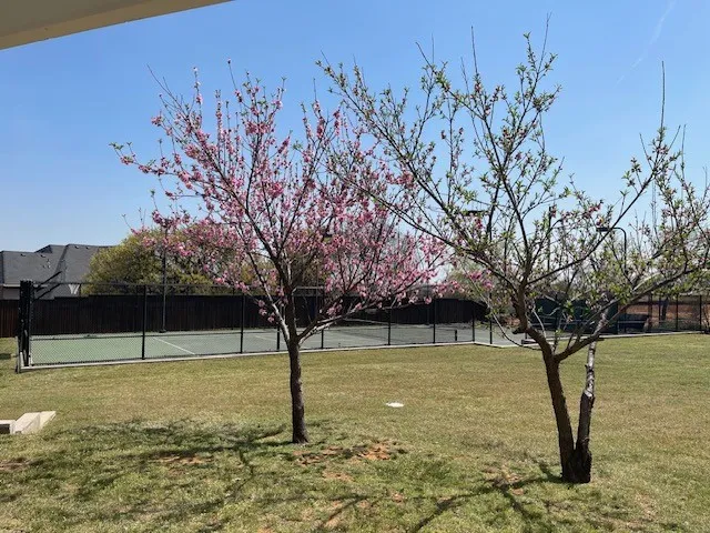 1900 Durance Court Corinth, TX 76210