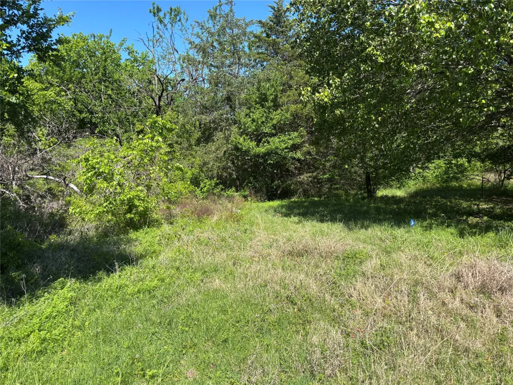 Ridgetop Ct Blue Ridge, TX 75424