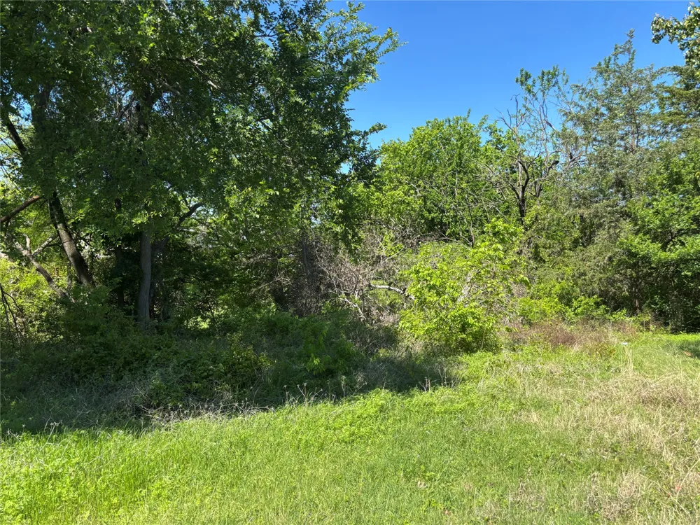Ridgetop Ct Blue Ridge, TX 75424