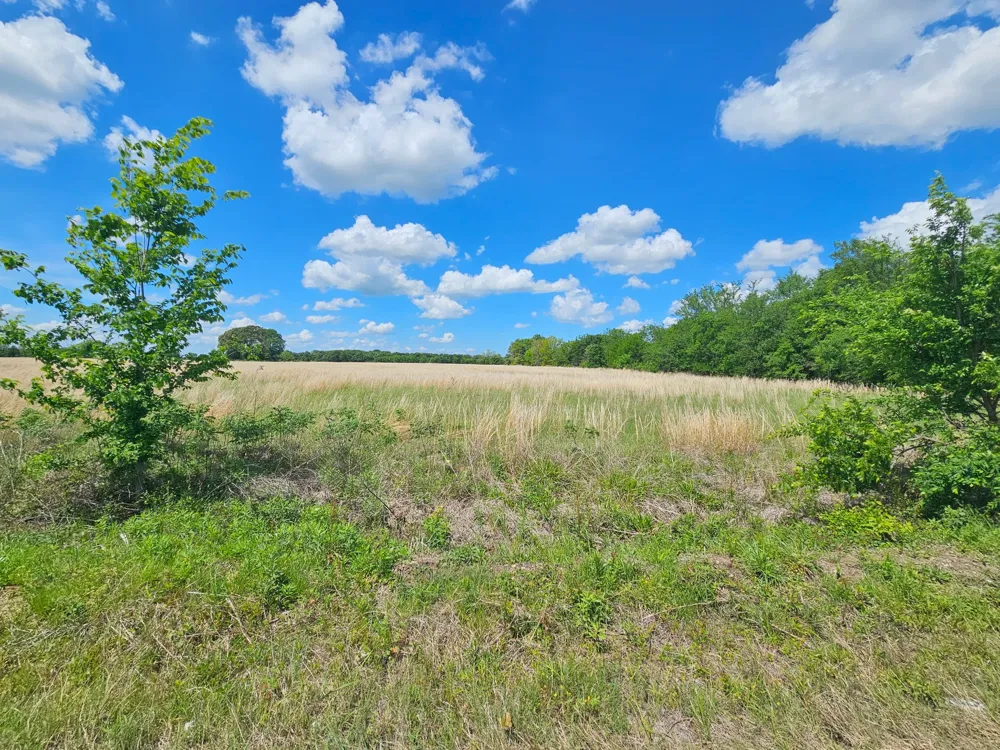 CR 3609 Edgewood, TX 75117
