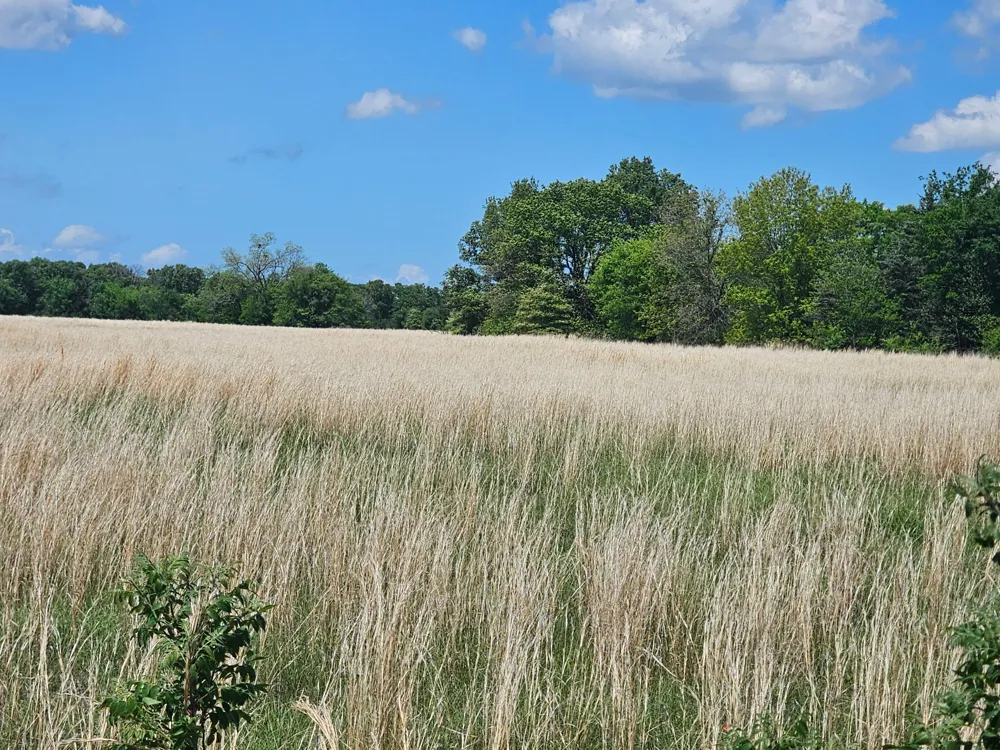 CR 3609 Edgewood, TX 75117