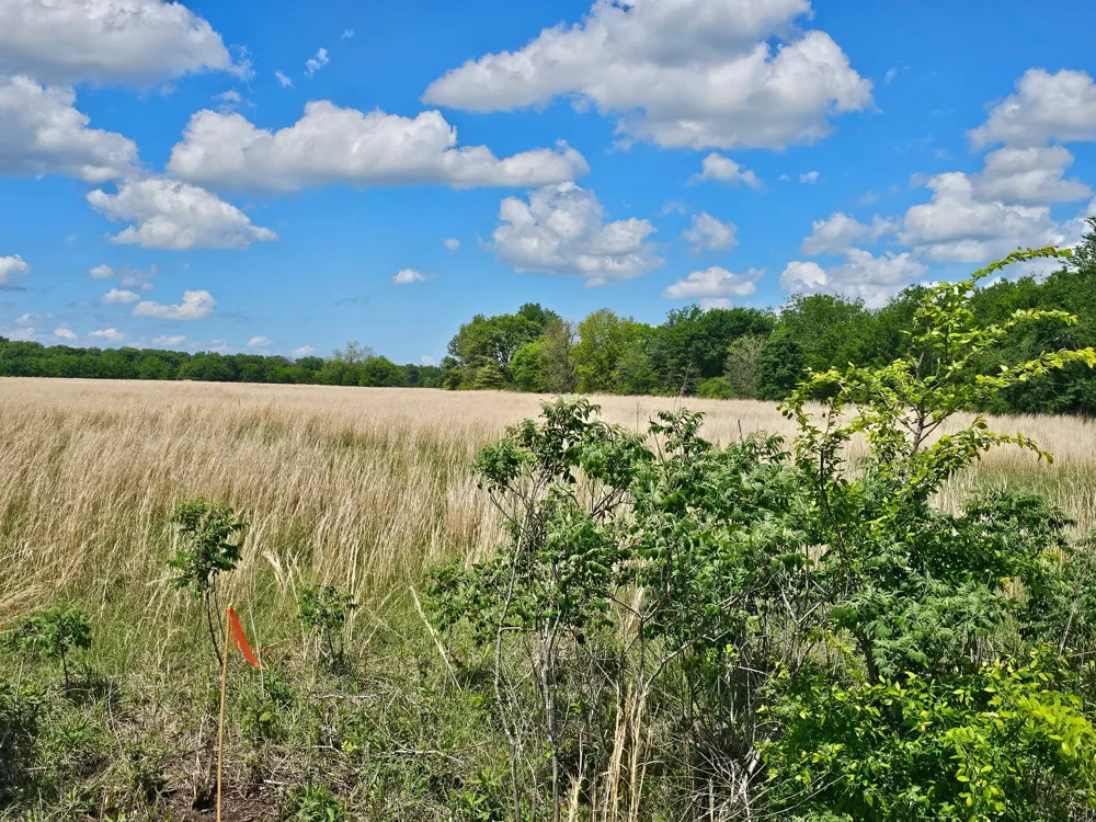 CR 3609 Edgewood, TX 75117