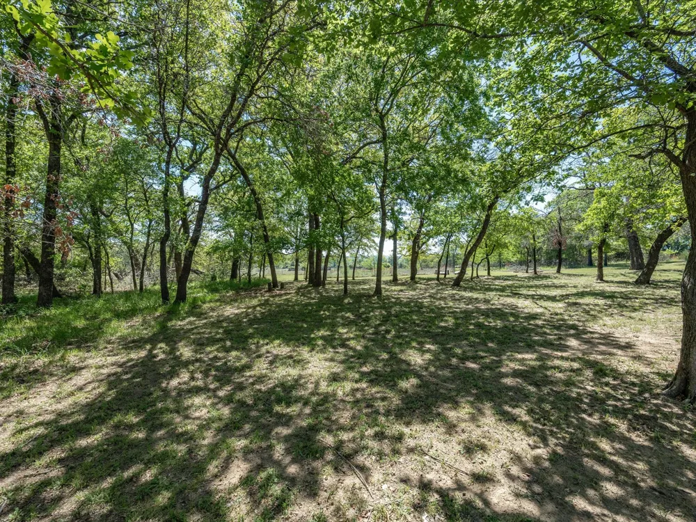 104 Lariat Court Azle, TX 76020