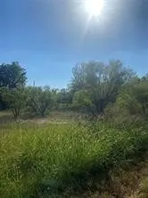 Brookview Court Bridgeport, TX 76426
