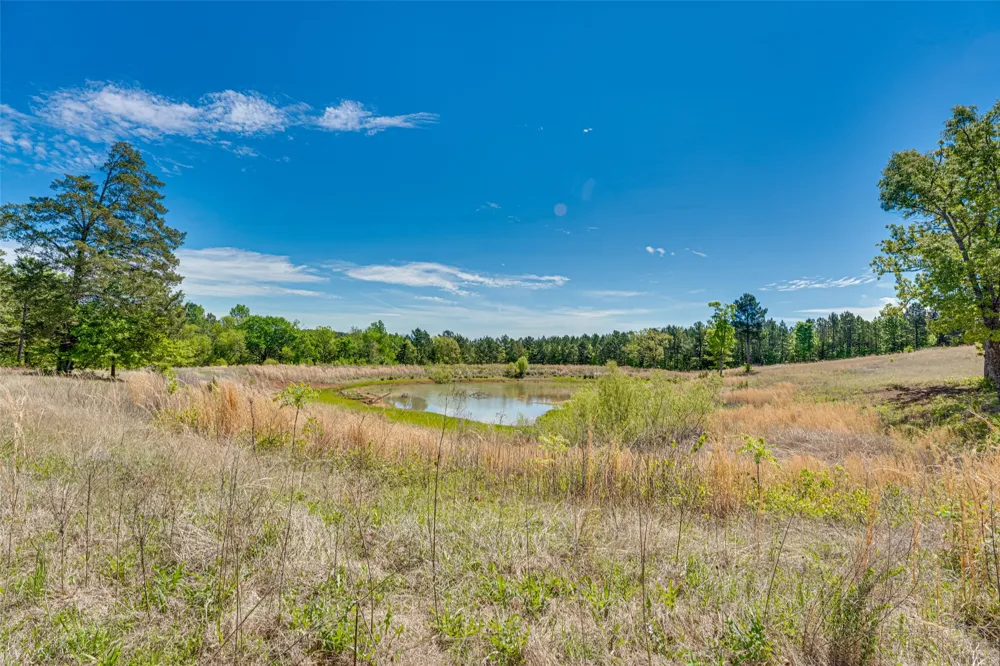 11088 County Road 334 Tyler, TX 75708