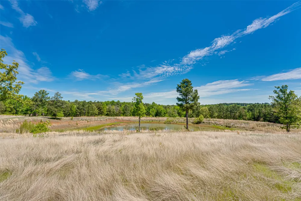 11088 County Road 334 Tyler, TX 75708