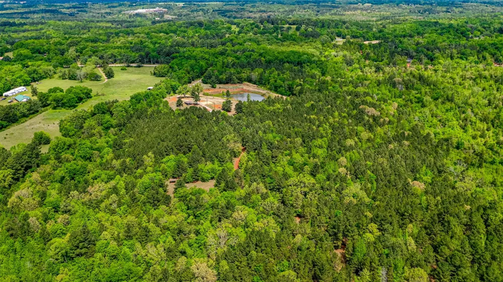 11088 County Road 334 Tyler, TX 75708