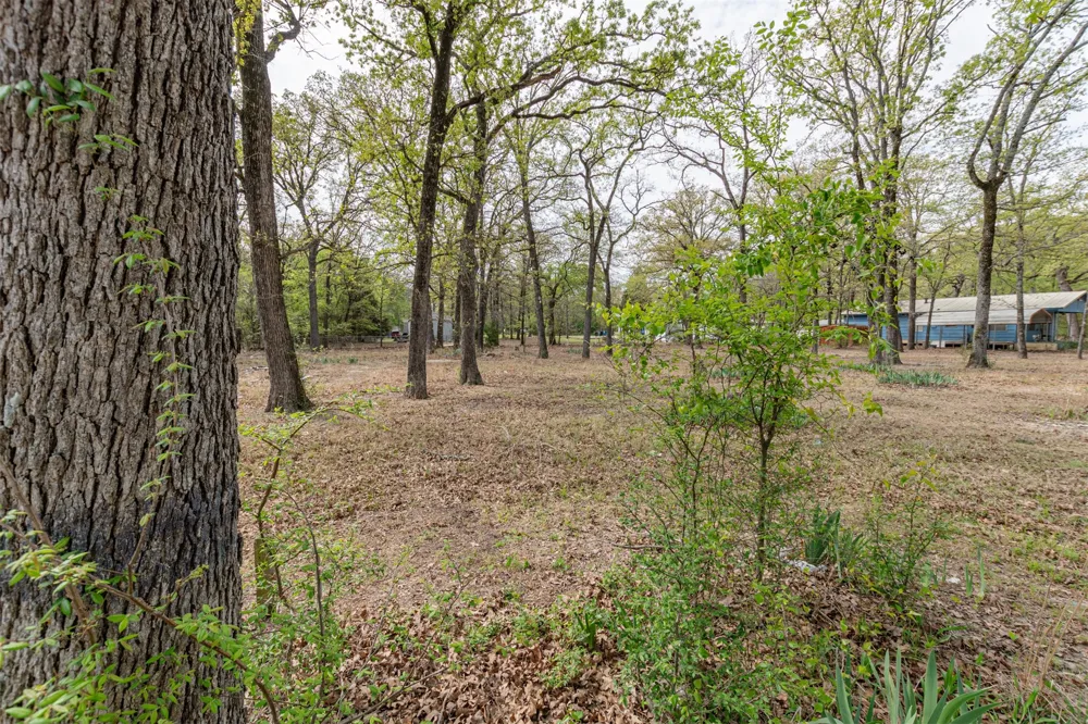 13995 E Travis Lane Log Cabin, TX 75148