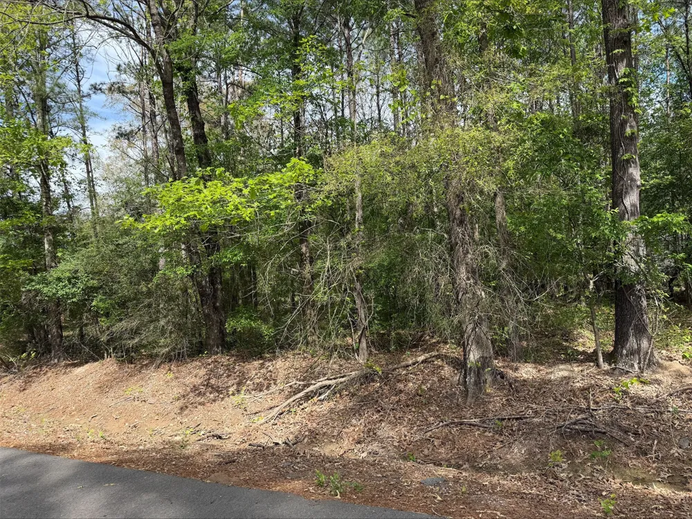 Sandwood Lane Keithville, LA 71047